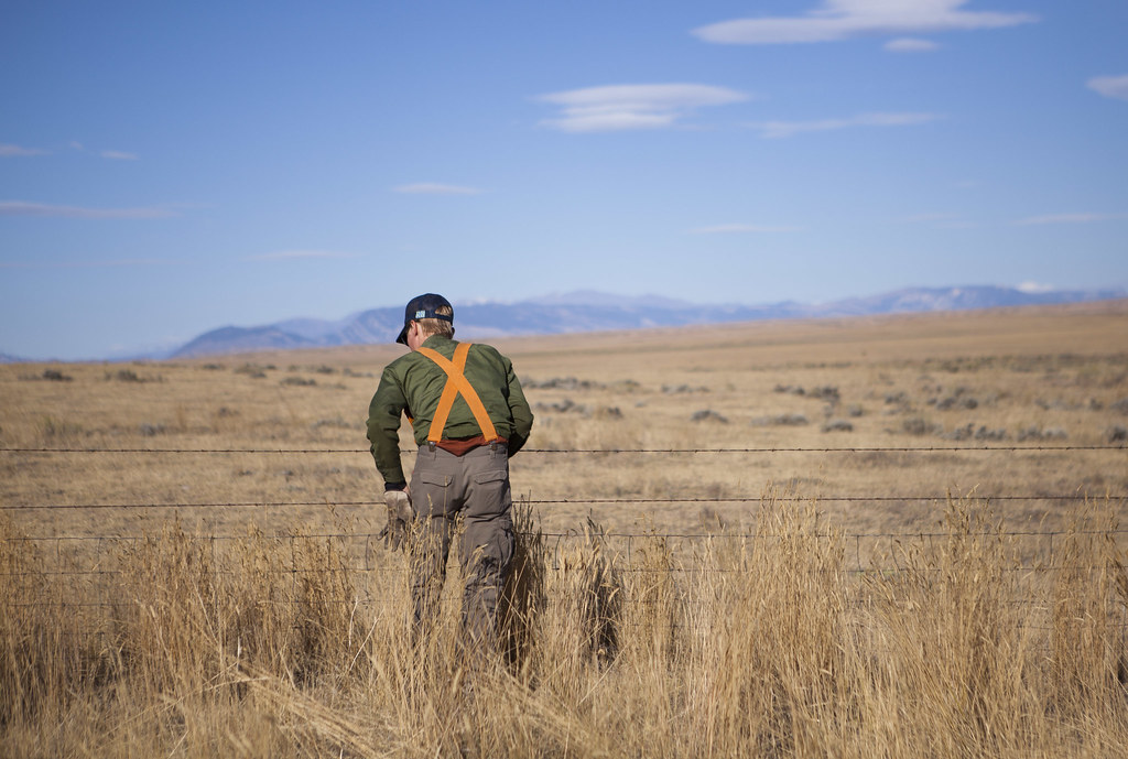 NPLD 2015 BLM Wyoming Help Wildlife The BLM Wyoming Cody … Flickr