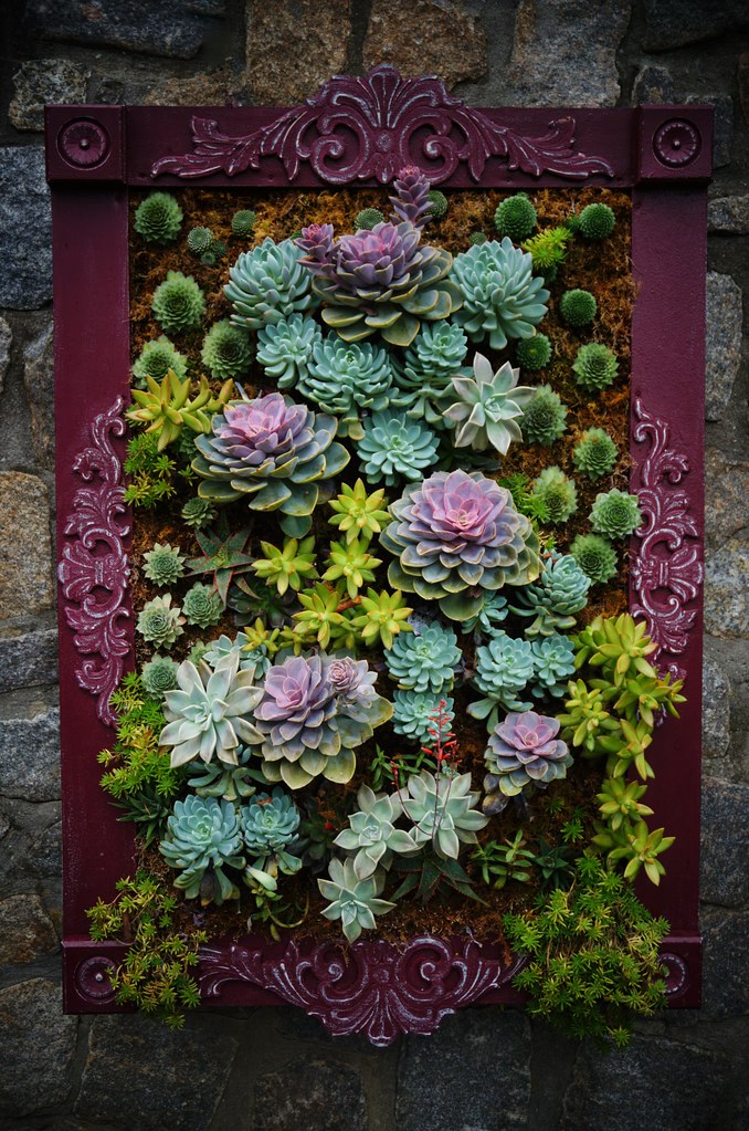 a Vertical gardening (Succulent panels) Karl Gercens