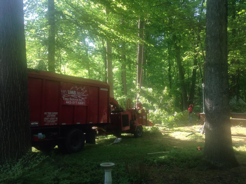 Storm Damage Baltimore Unlimbited Tree Service, Inc. Flickr