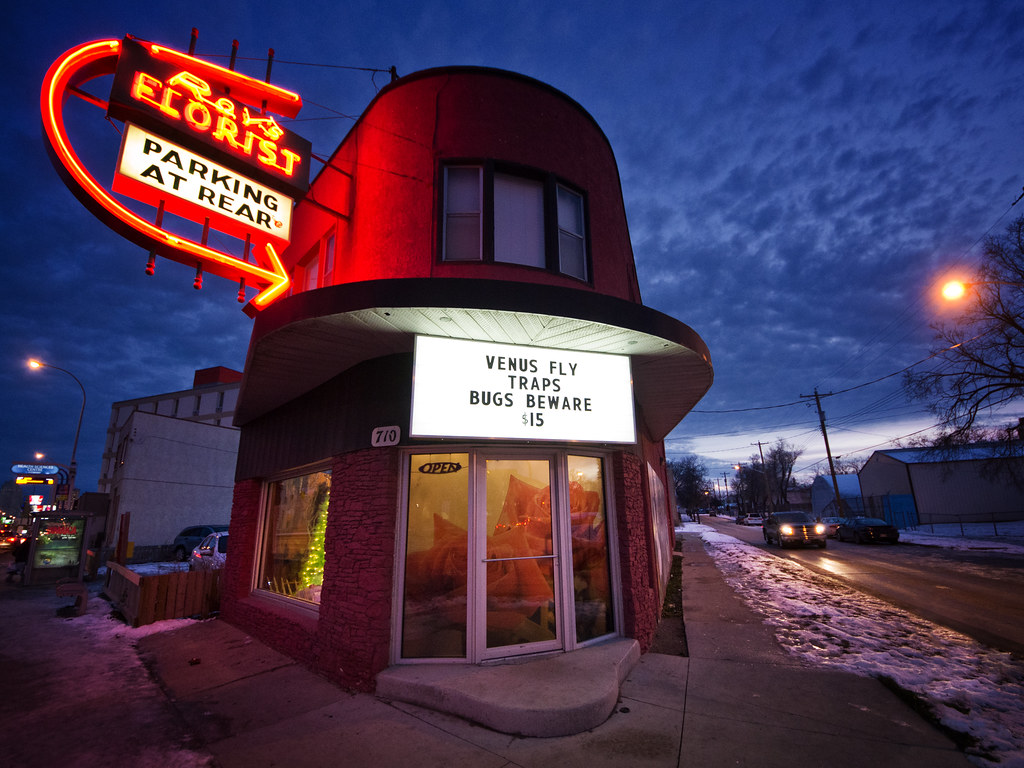 Roy's Florist Notre Dame Avenue, Winnipeg, Manitoba. Bryan Scott