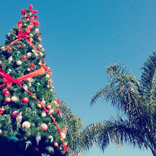 Xmas Tree + Palm Tree + Blue Sky = A San Diego Xmas! Flickr