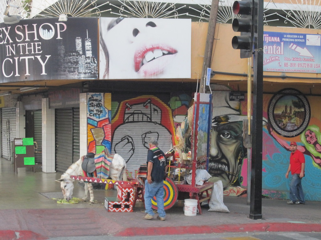 Sex Shop in the City on Avenida Revolucion in Tijuana Mexi… | Flickr