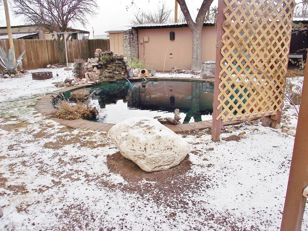 Rodeo, New Mexico Snow on Dec. 23rd in Rodeo, New Mexico, … Flickr