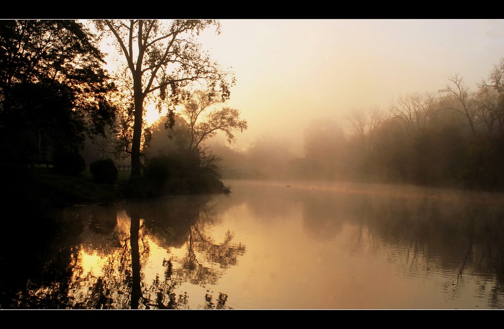 Daybreak Misty morning sunrise at Buckingham Lake, Albany,… Flickr
