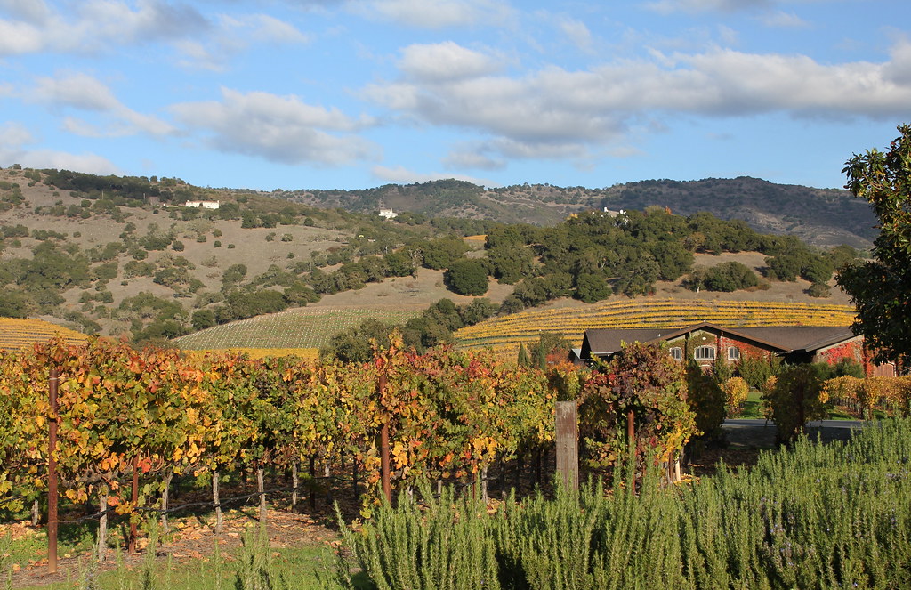 Hills Of Autumn Gold On The Silverado Trail In The Napa Va… Flickr