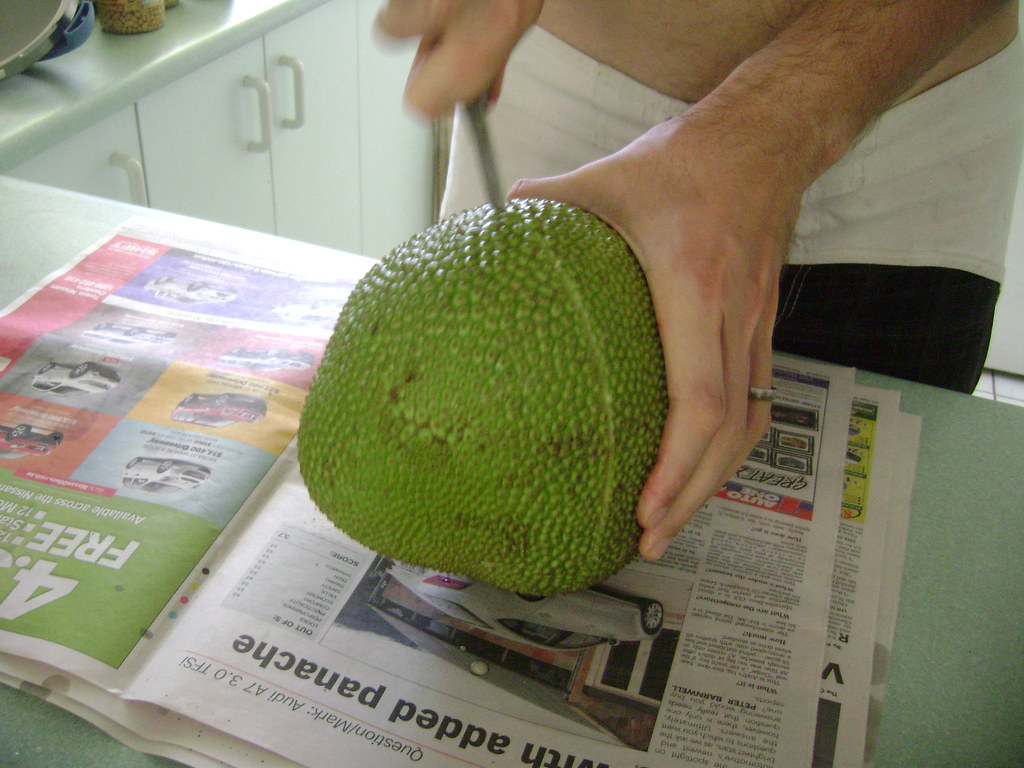 Cutting These fruits are very messy they drip latex from… Flickr
