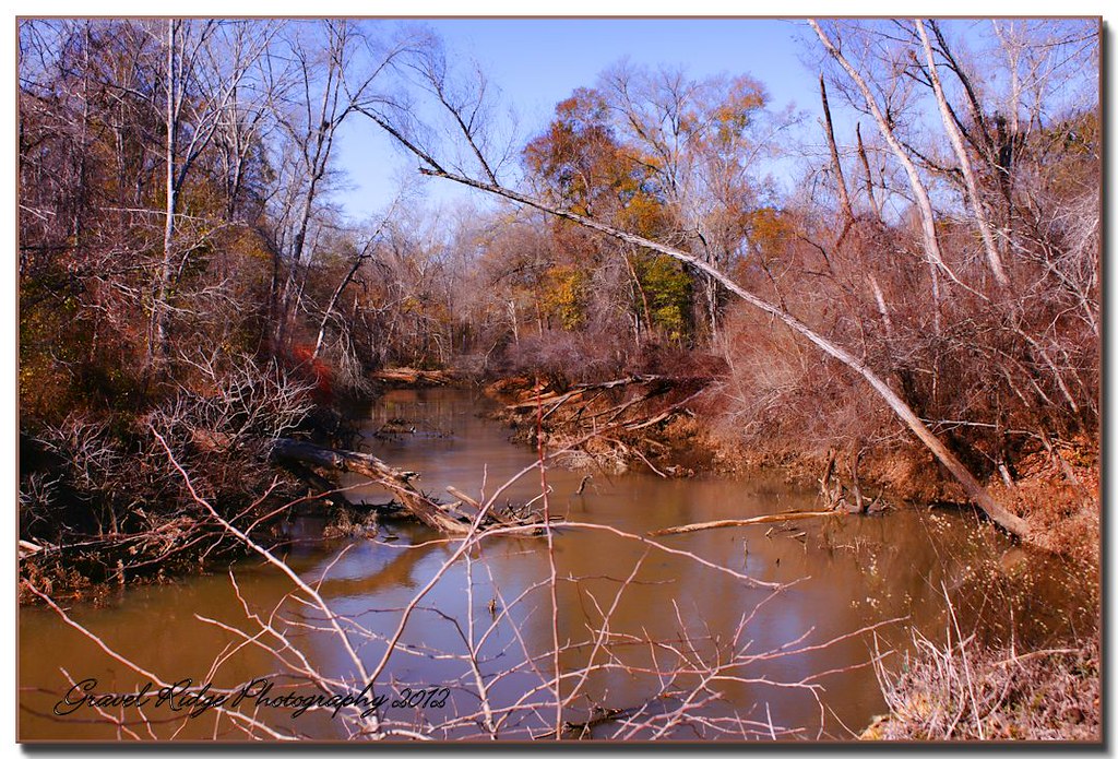 Angelina River at Hwy 7 Angelina River....... Copyright No… Flickr