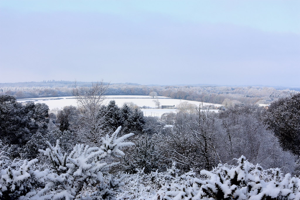 Cranborne Chase from Stephen's Castle This is a view from … Flickr