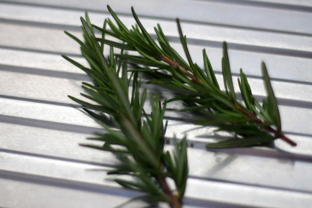 Rosemary sprigs Rosemary, one of my favourite herbs. warrenski Flickr