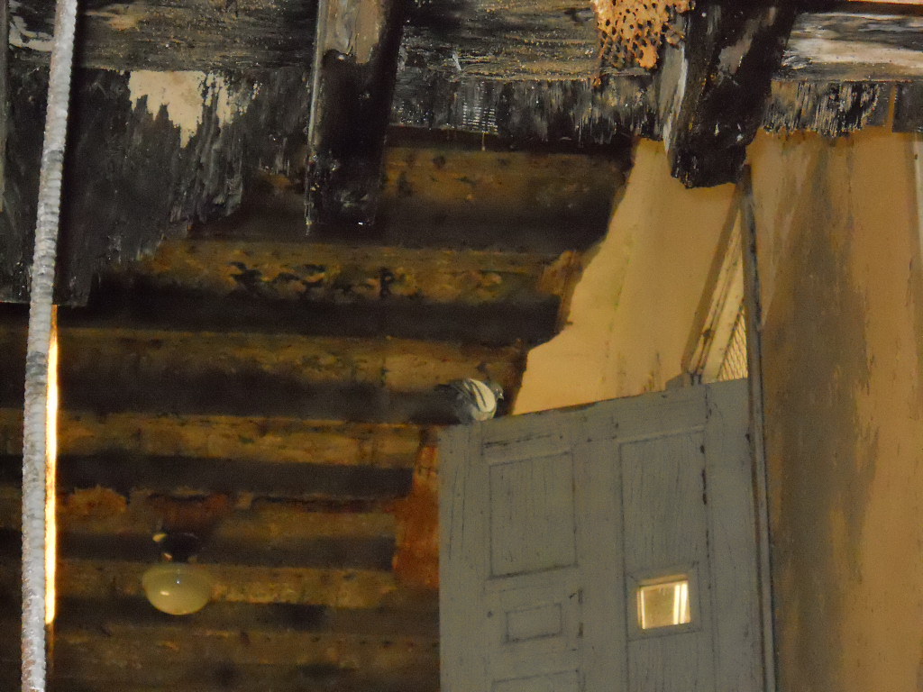 Middletown Psych Center Middletown NY Brewster Hall Vi… Flickr