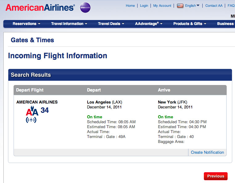 American Airline Flight Information