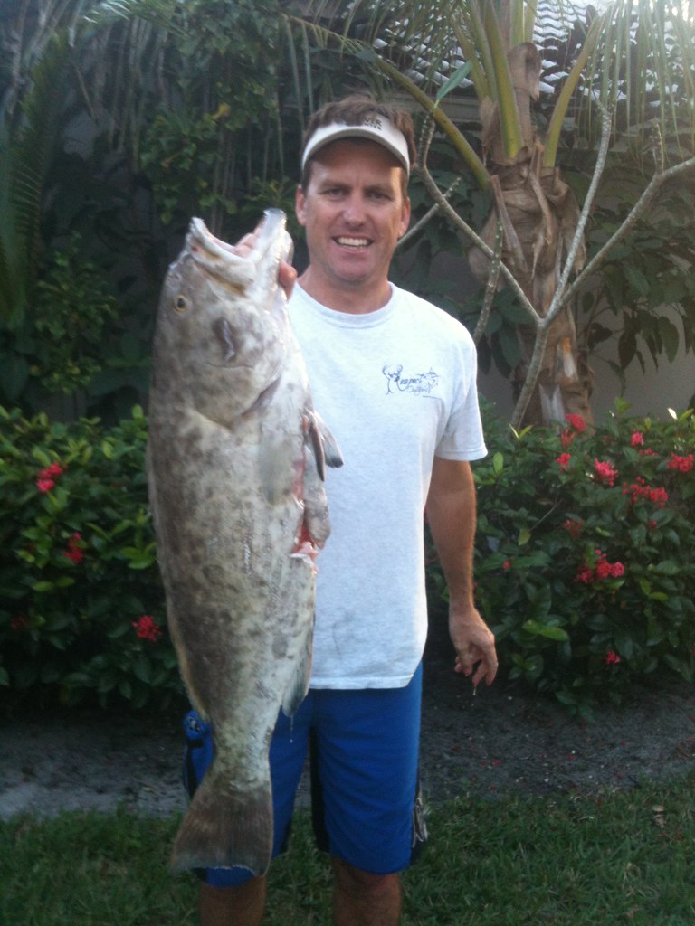 IMG_2294 Gag Grouper Palm Beach County, FL Albrey Arrington Flickr