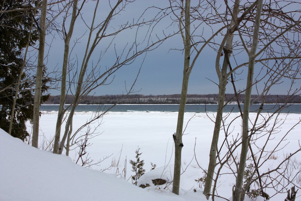 White Cloud Island Looking north from the mainland Andrew Flickr