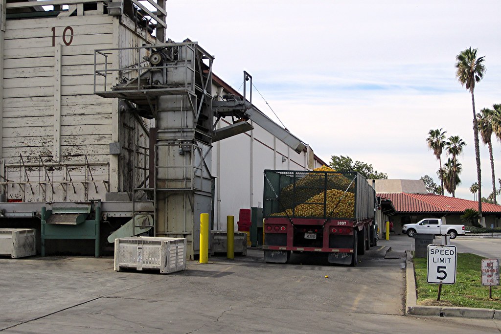 CCH Citrus Packing House 5 CCH Citrus Packing House (8000… Flickr