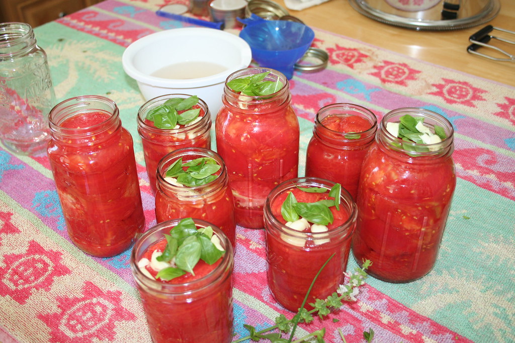 cannon pictures 547 Howard Avenue Flickr