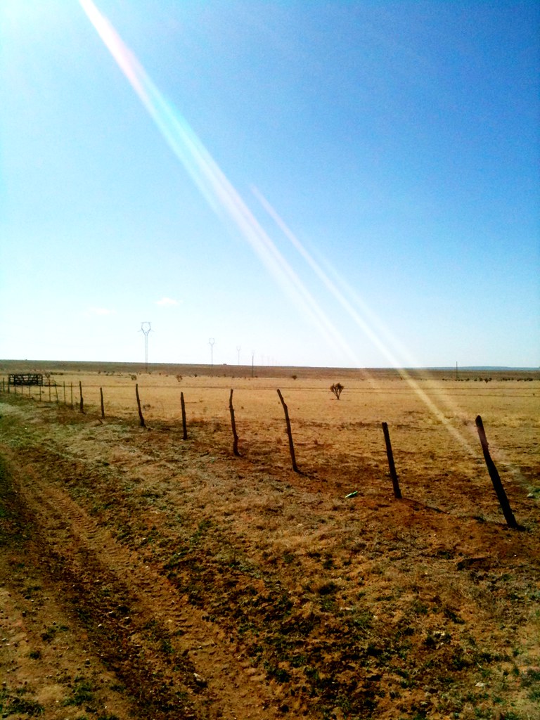 Light bleeds into the desert desert road. New Mexico Flickr