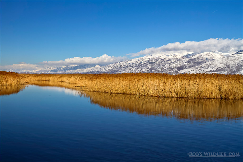 Farmington Bay 1W.jpg Farmington Bay with the Snow Covere… Flickr