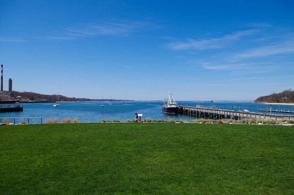 Grassy Knoll Mark Warn Flickr