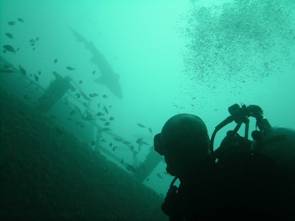 North Carolina Wreck Diving 2011 Flickr