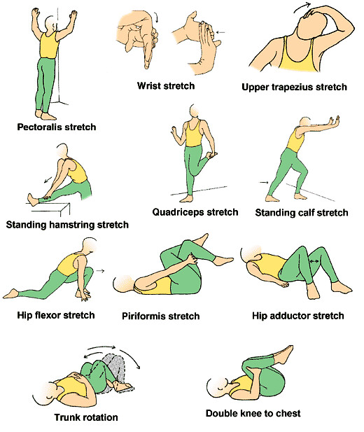stretching_exercises_chart agora7 Flickr