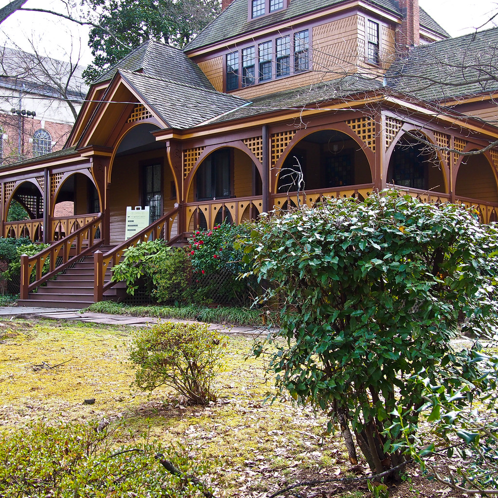 Bird Micro-Electric Mobility: Electric Bikes and Scooters.