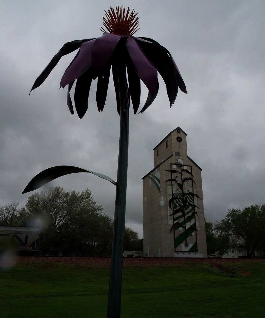 Woodbine Iowa 10 foot tall metal purple coneflower and nic… Flickr