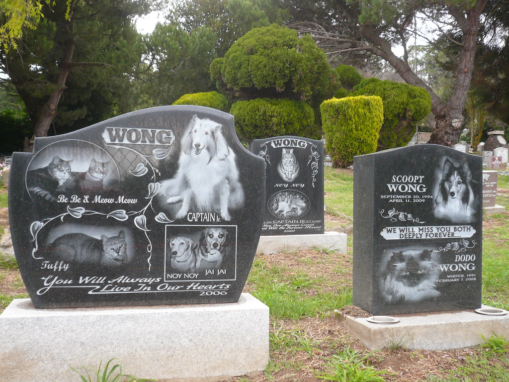 Pet's Rest Cemetery 1905 Hillside Bouleva… Flickr