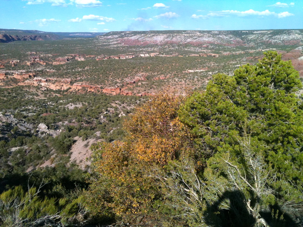 Nazlini, Arizona 20 miles north of Ganado AZ along Navajo