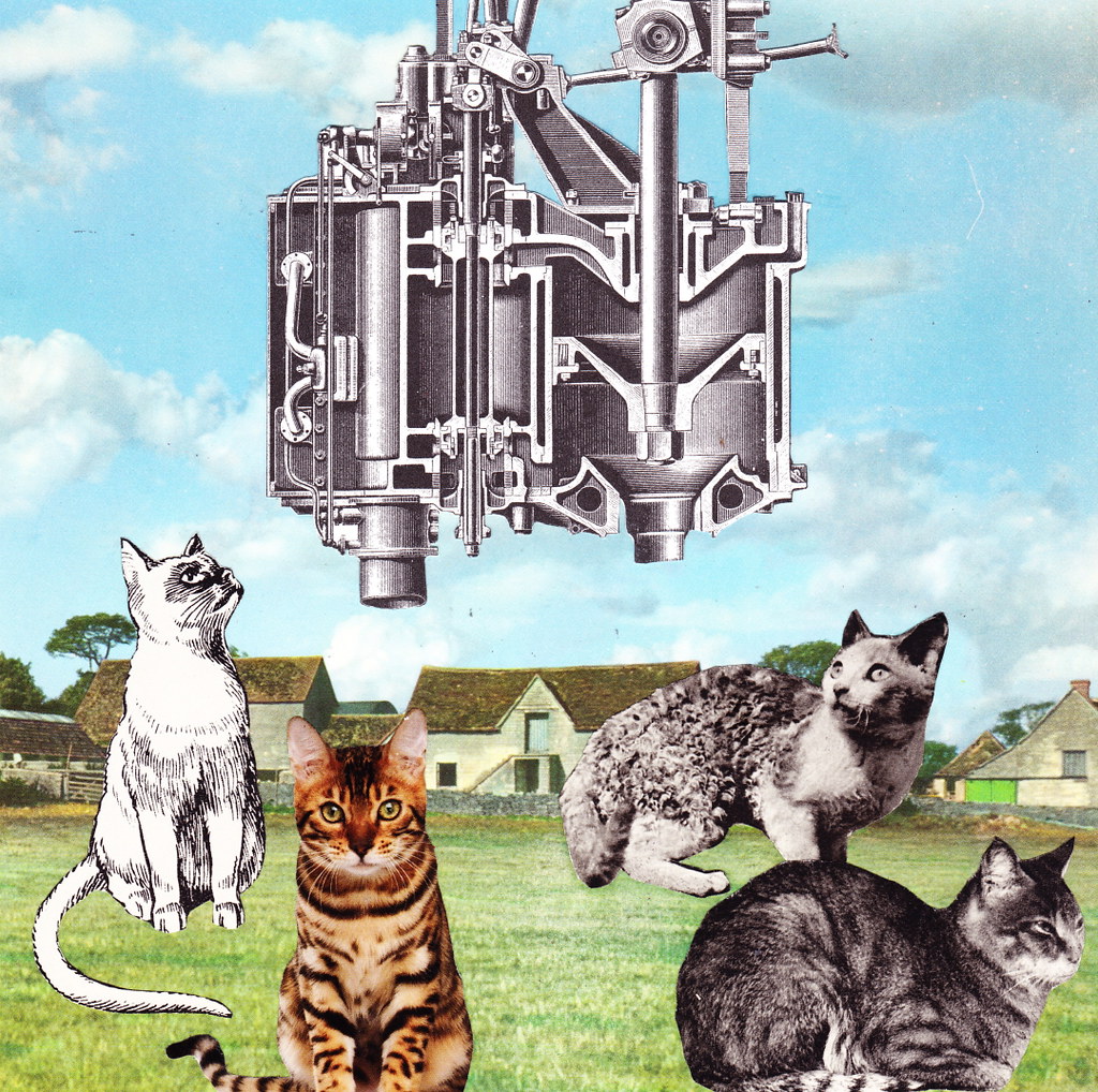 The Farm Cats Were All Watched Over By Machines of Loving … Flickr