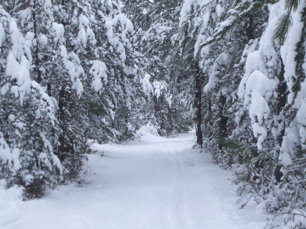Snowy Trail Jan 14, 2012 Cross Country Ski Headquarters Flickr