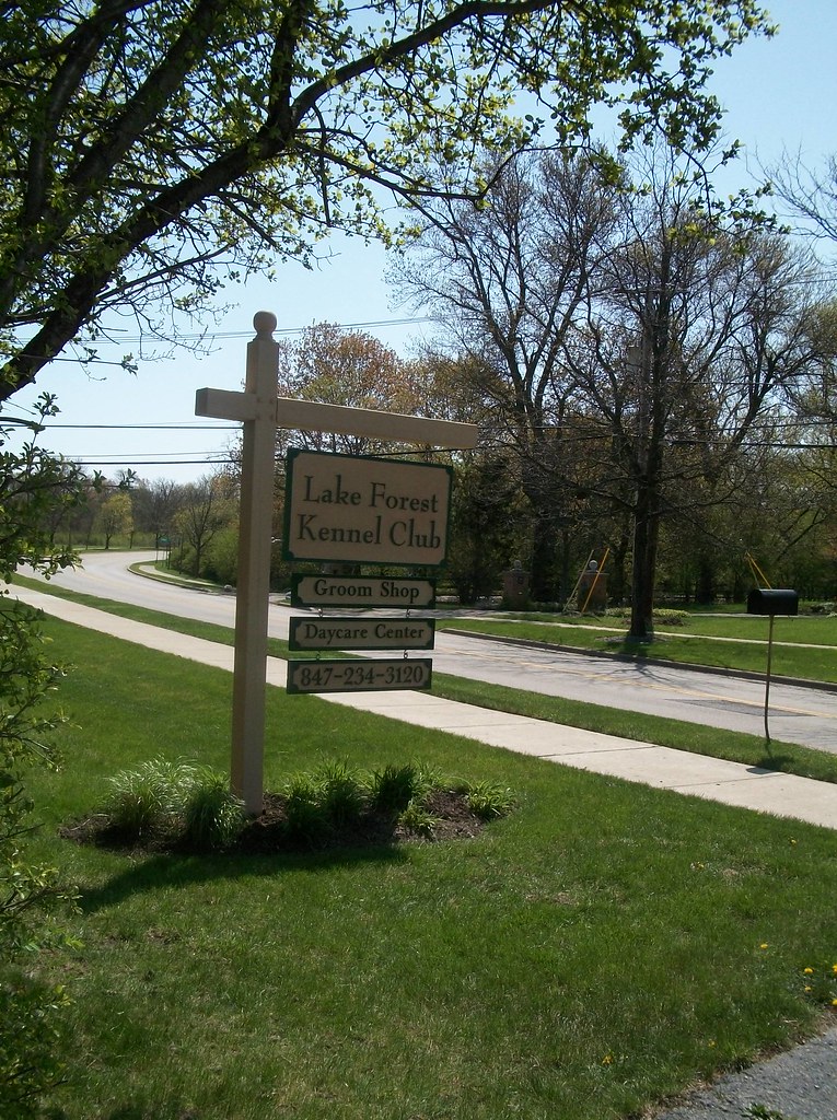 100_0081 Lake Forest Kennel Club Flickr