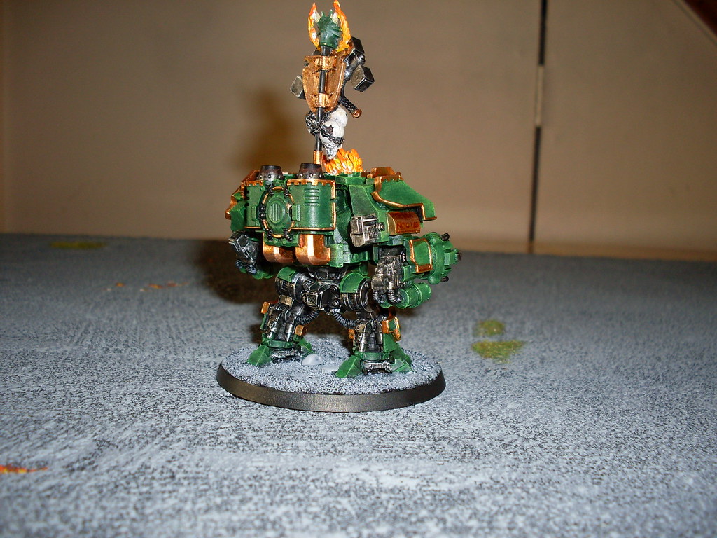 salamanders bray'arth ashmantle marc sivyour Flickr