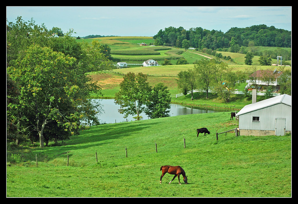 Amish dreamlands in Ohio I made a visit to the Ohio Amish … Flickr
