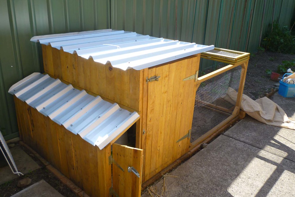 Our Chook Shed Flickr