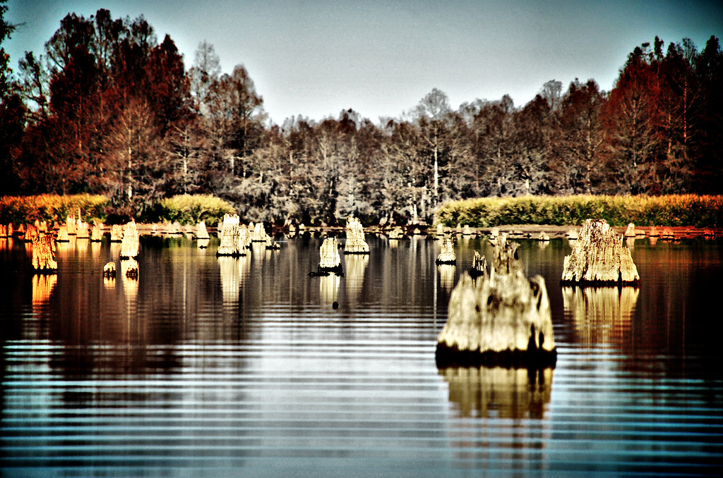 Low Falls Landing 11/24/2011 Flickr