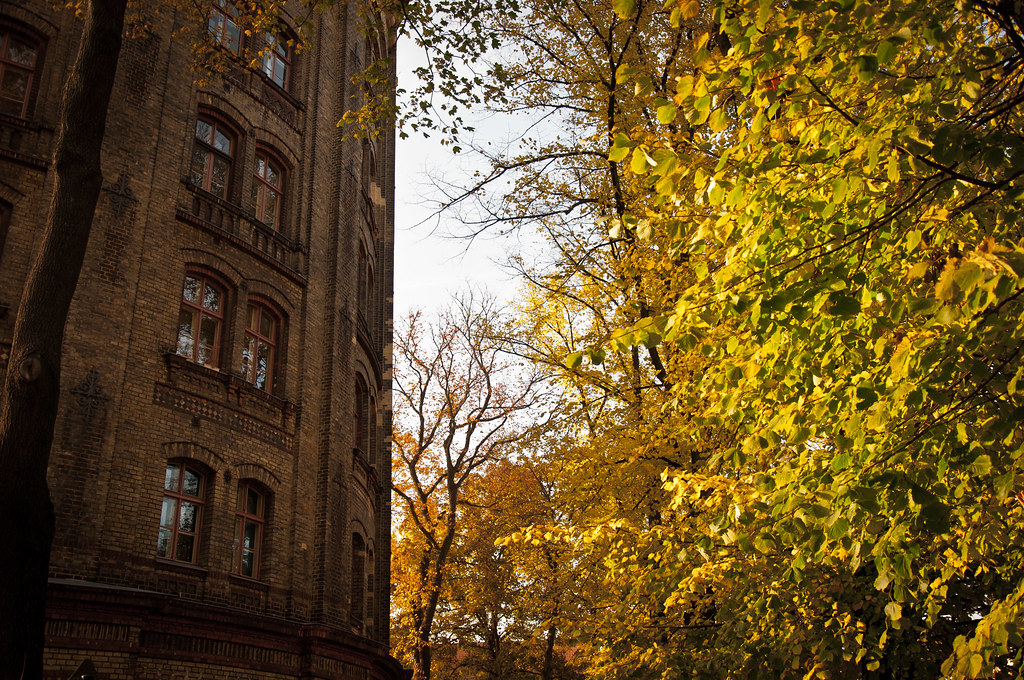 Half brick, half wood Anthony tison Flickr
