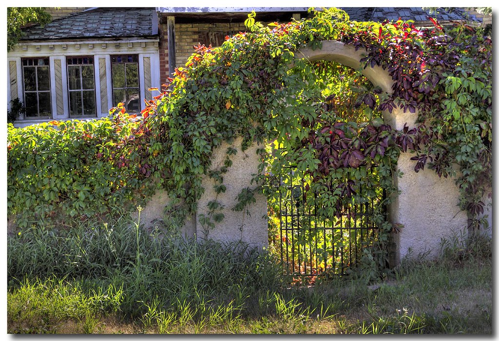 60D_6172_110824 The Gate, Drinkwater Saskatchewan Brian Schneider