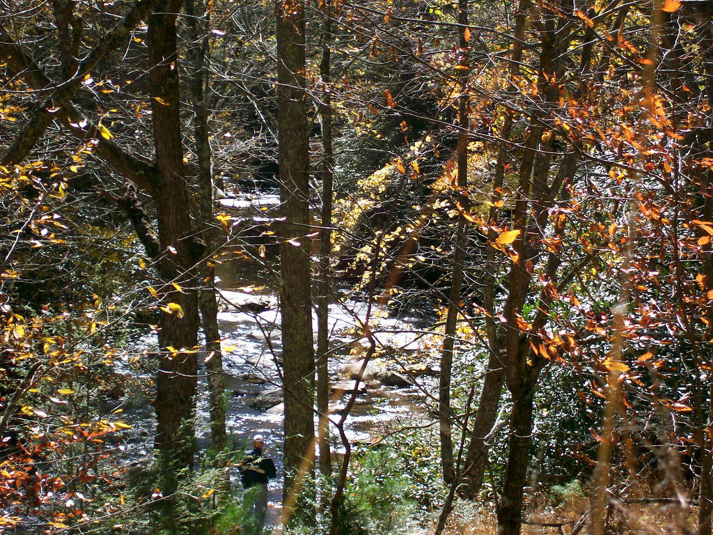 Troutdale, Va Steve at the bottom of the hill taking close… Flickr