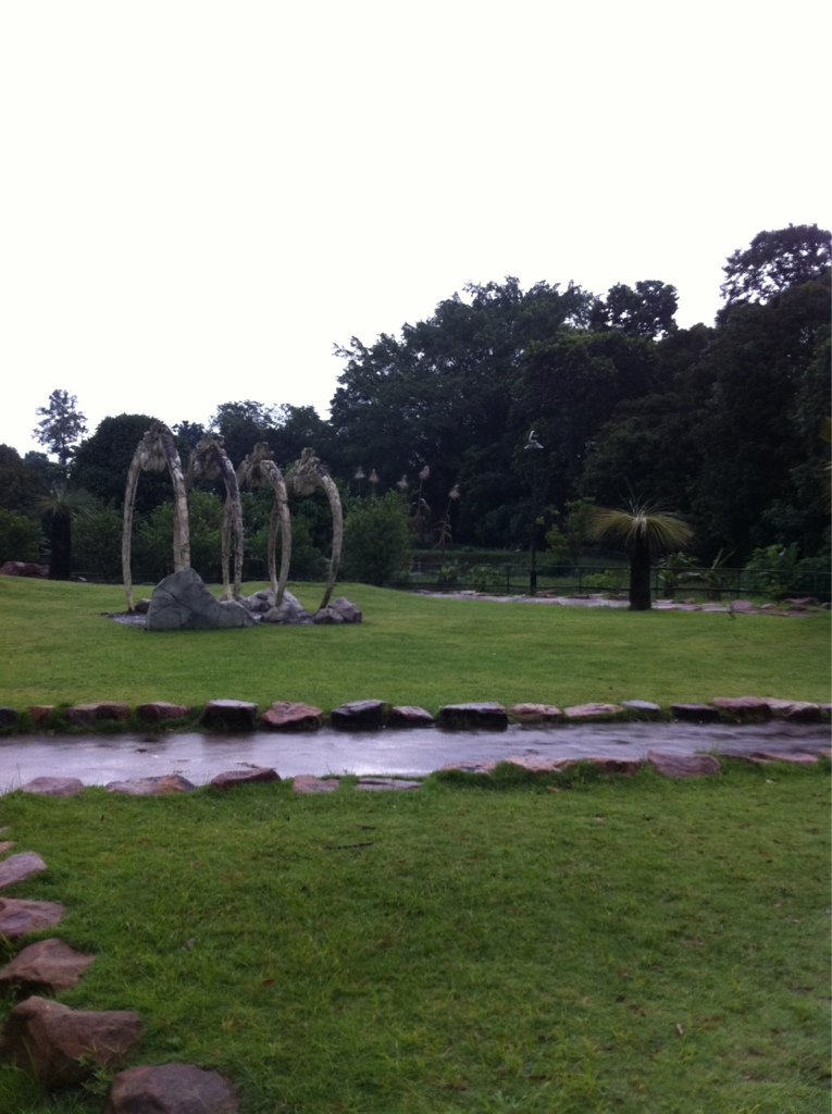 Bottle Tree Park カヤ。 Flickr