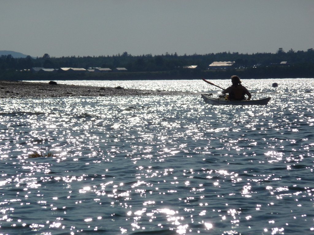 Kayaking Mount Desert Island July 2011 A. Boynton Flickr