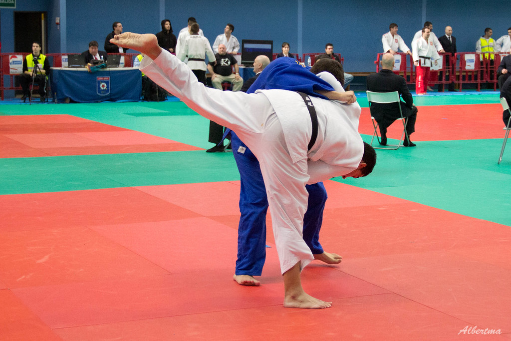 Flickriver Searching for most interesting matching 'judo'