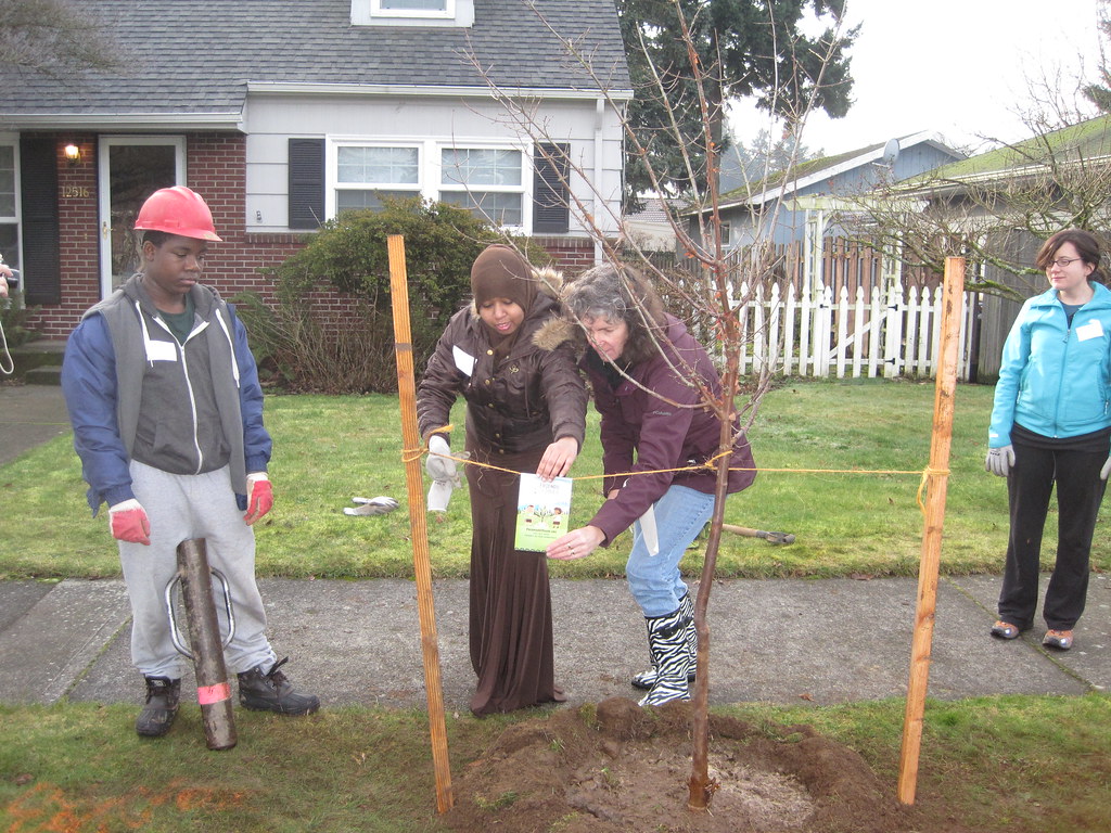 Jan. 28, 2012 Centennial, Hazelwood, Mill Park Planting Flickr