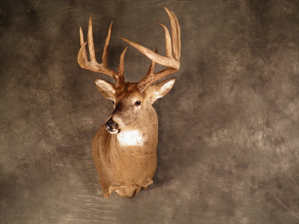 SemiUpright Wall Pedastel 3 SemiUpright Wall Pedastel Mo… Flickr