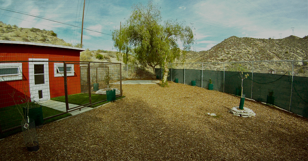 LA Dog Retreat World class dog training in Los Angeles, CA… Ashlee