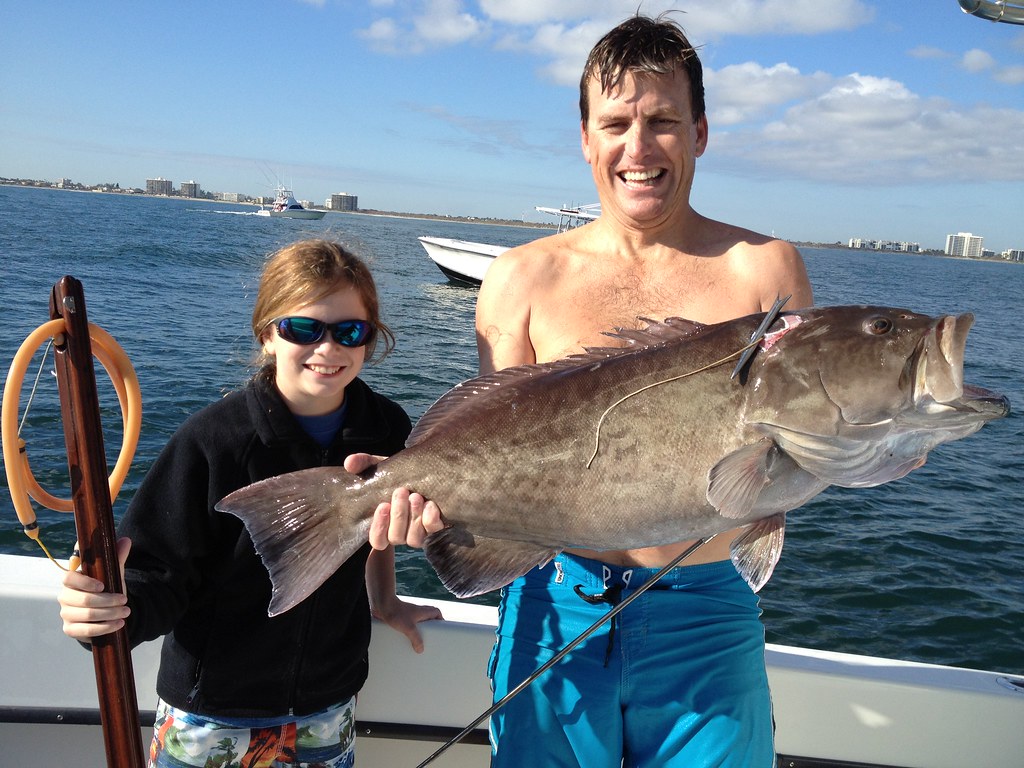 IMG_2366 Gag Grouper Palm Beach County, FL Albrey Arrington Flickr