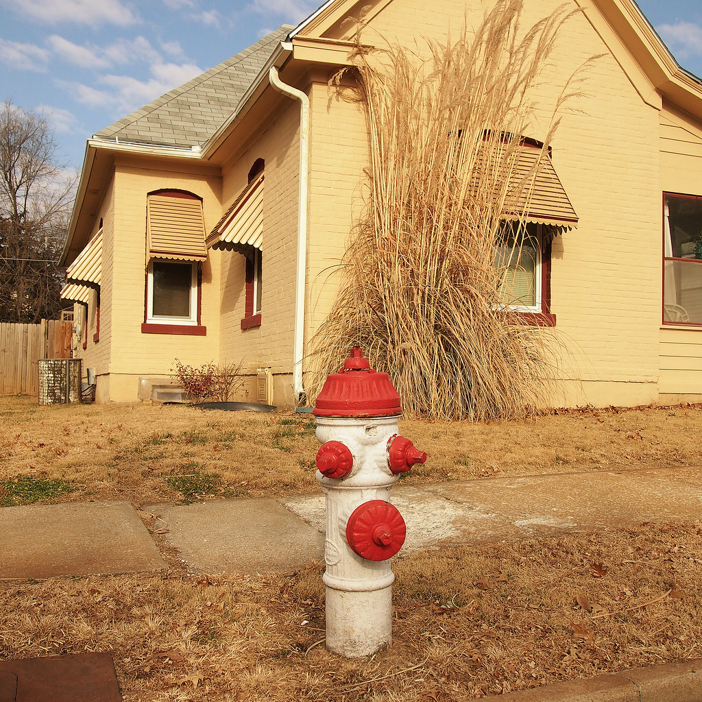 WINTER WHEAT Saint Joseph, Missouri USA Copyright ©2012 … Flickr