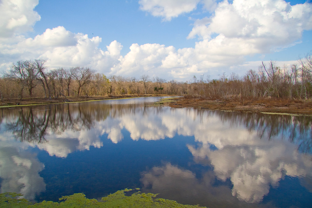 Elm Lake reflection allison_b216 Flickr