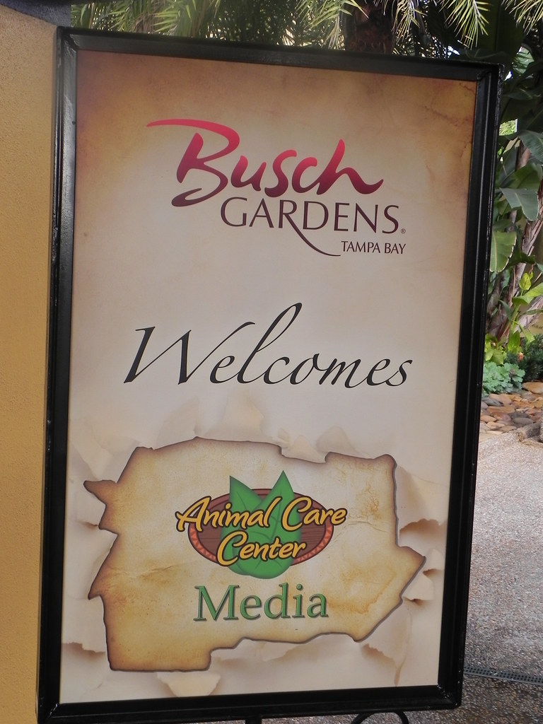 11212 Busch Gardens Animal Care Center Flickr