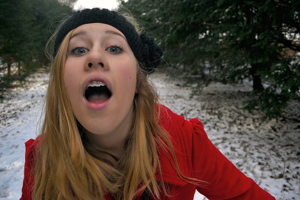 Kirkleatham woods in the snow Flickr