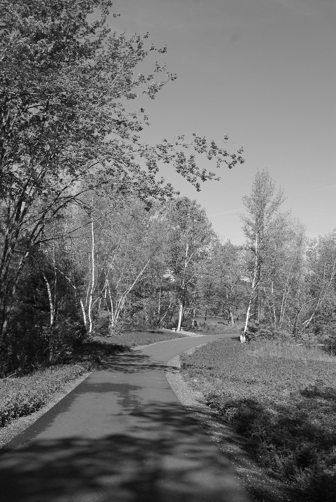 DSC_0040 Paper Mill Trail. Lisbon, Maine Taken with the Ni… Flickr